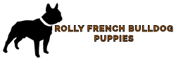 Rolly Puppies